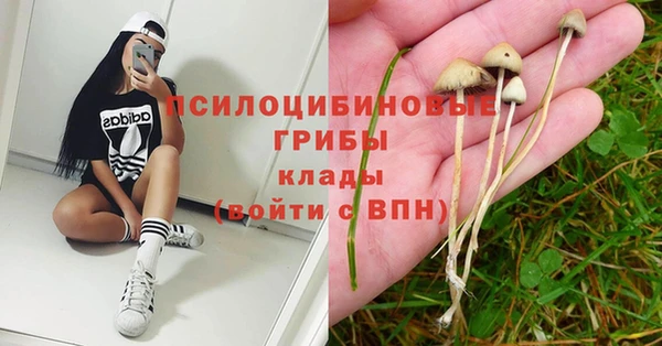 экстази Пролетарск