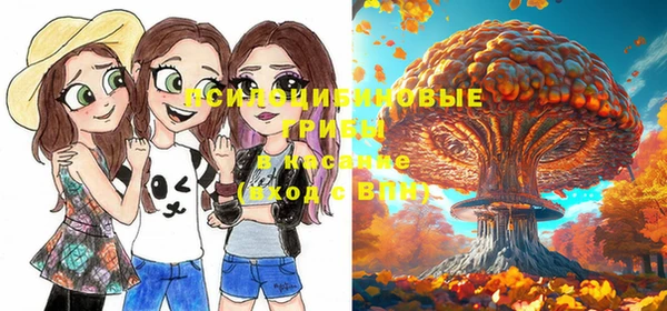 кокс Протвино