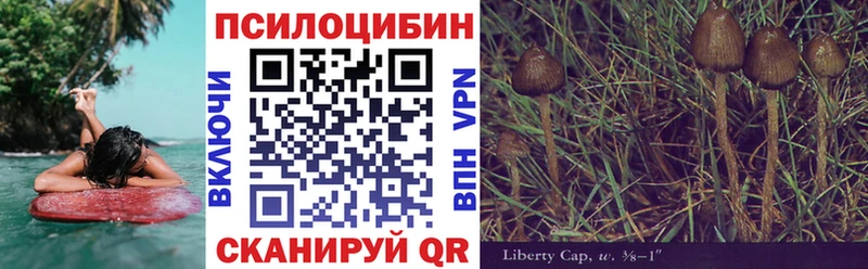 Галлюциногенные грибы прущие грибы  Купить  Яхрома 